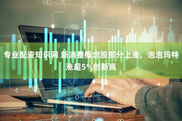 专业配资知识网 新消费概念股部分上涨，泡泡玛特涨超5%创新高