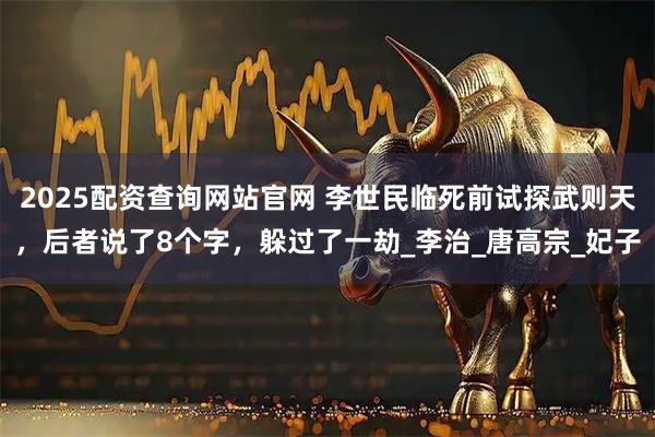 2025配资查询网站官网 李世民临死前试探武则天，后者说了8个字，躲过了一劫_李治_唐高宗_妃子