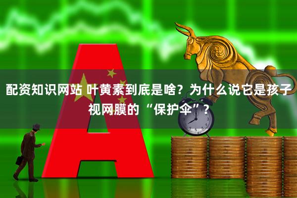 配资知识网站 叶黄素到底是啥？为什么说它是孩子视网膜的 “保护伞”？