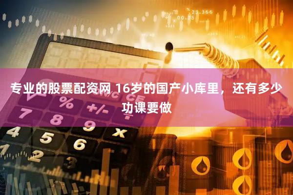 专业的股票配资网 16岁的国产小库里，还有多少功课要做